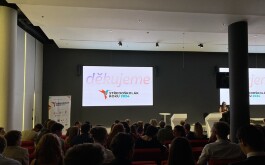 btllpxxg5l_____Copy of STR-131