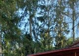 20240904_170119.jpg