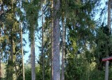 20240904_170054.jpg