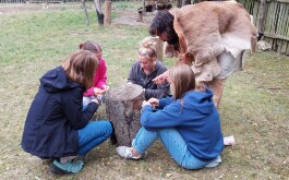 h2tstle4y3_____20240911_122448