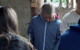 h2tstle4y3_____20240911_122448