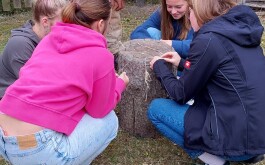 h2tstle4y3_____20240911_122448