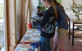 tm1oqvcghd_____100_3098