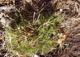 100_3117.JPG