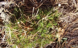 tm1oqvcghd_____100_3098