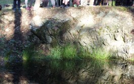 tm1oqvcghd_____100_3098