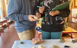 tm1oqvcghd_____100_3098