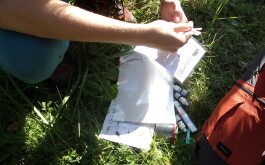 tm1oqvcghd_____100_3098