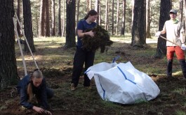 tm1oqvcghd_____100_3098