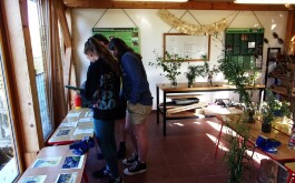 tm1oqvcghd_____100_3098