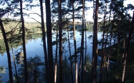 tm1oqvcghd_____100_3098