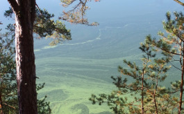 tm1oqvcghd_____100_3098