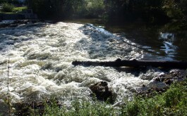 tm1oqvcghd_____100_3098