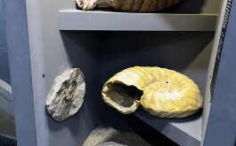 tzubrv8v66_____wIMG_4425