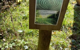 tzubrv8v66_____wIMG_4425