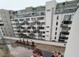 IMG_20240924_120501.jpg