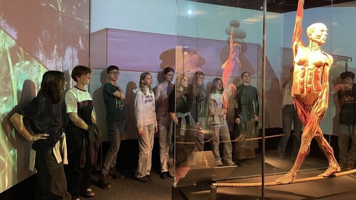 Tercie na výstavě Body Worlds