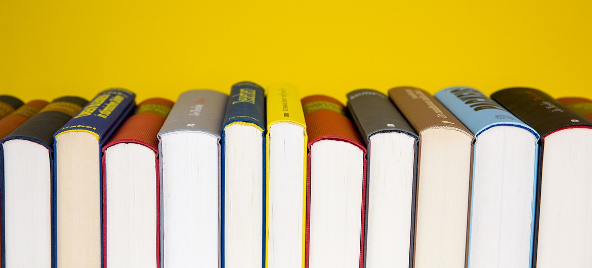 dlesoa7fa8_____books-5937716_1280