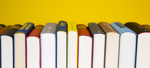 Ve školní knihovně je ráj