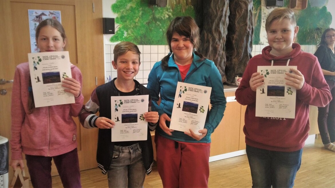 1zo2ecv50m_____iejf1wgd33-ap-20181218-115733 (1)