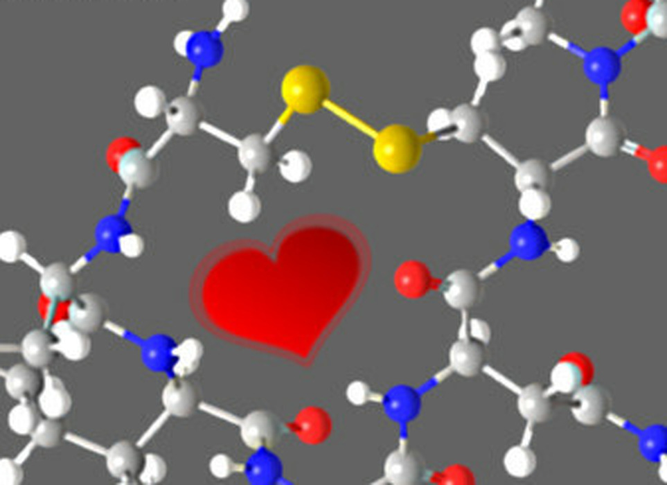 3vwdvqq6yh_____2019_12_chemicka