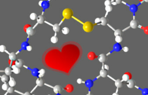 Chemie, feromony a láska