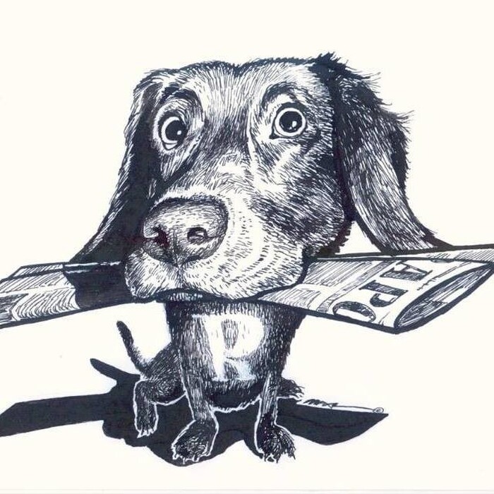 0p1saaldu6_____37784565_292234164846811_3488982795613634560_n