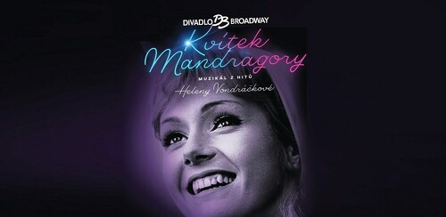 Pro členy KMD Junior: Kvítek Mandragory