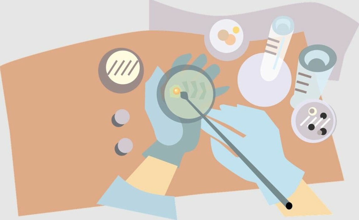 kvegftz7jd_____68766678