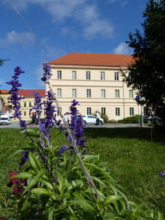Třídní schůzky rodičů nových studentů
