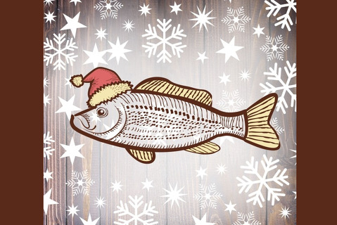 Úspěch v soutěži Vánoční kapr