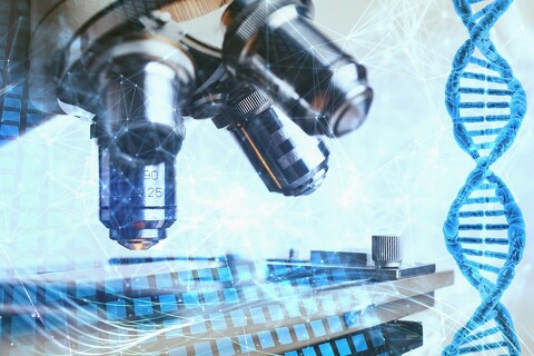 Okresní kolo Biologické olympiády: Postup do kraje!