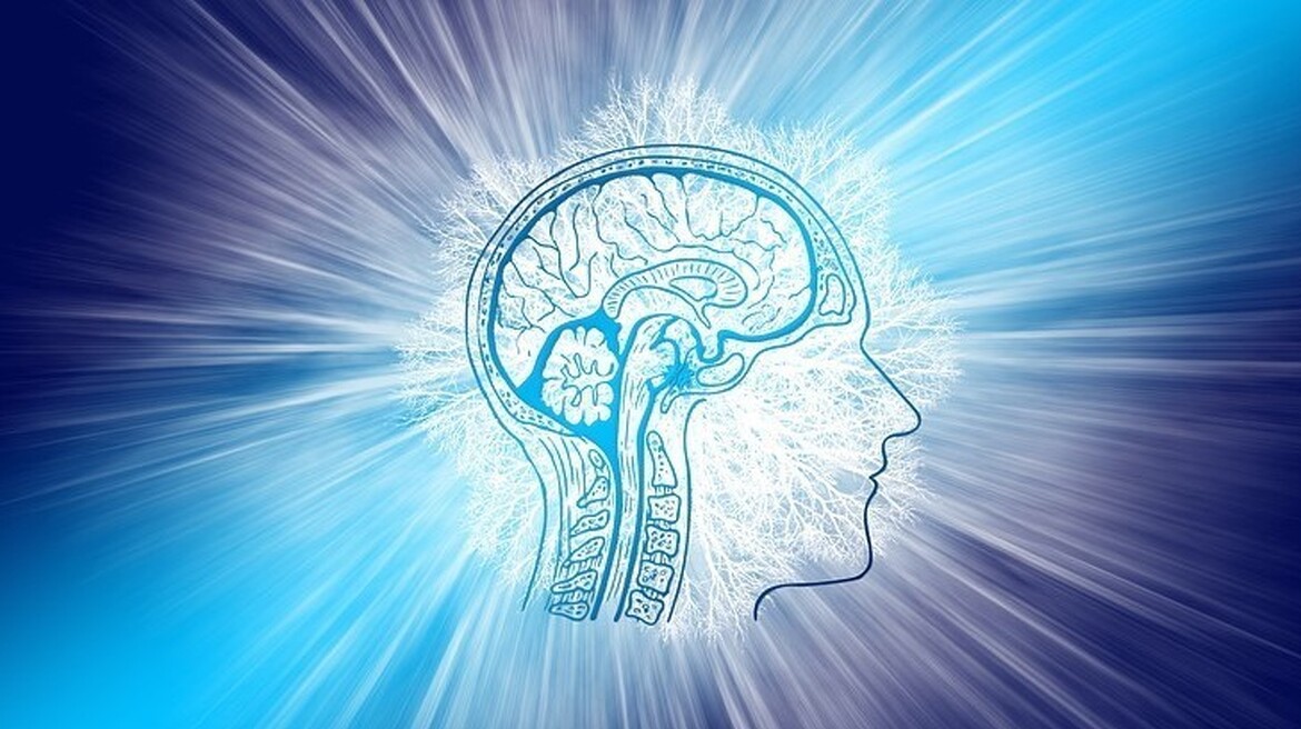 yyaikrsvwq_____intelligence-4234824_1280