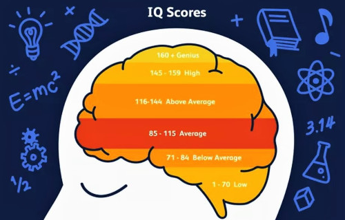IQ testování