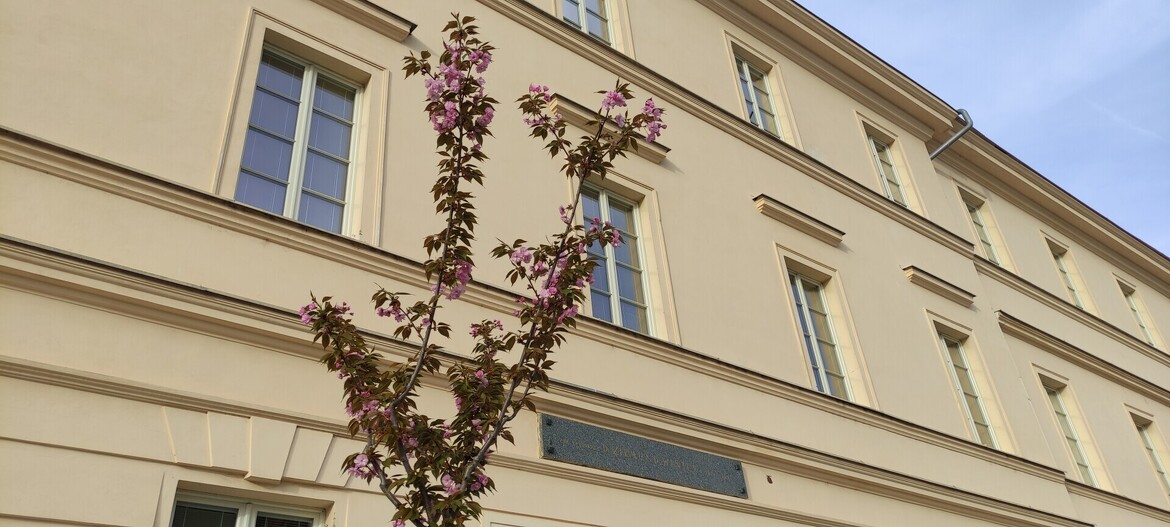 07mou15ezb_____IMG_20240407_180639