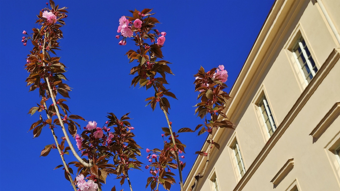 qia6mlqbl0_____344266368_768329464689492_4045535650262158135_n