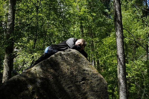 Střípky z ekokurzu