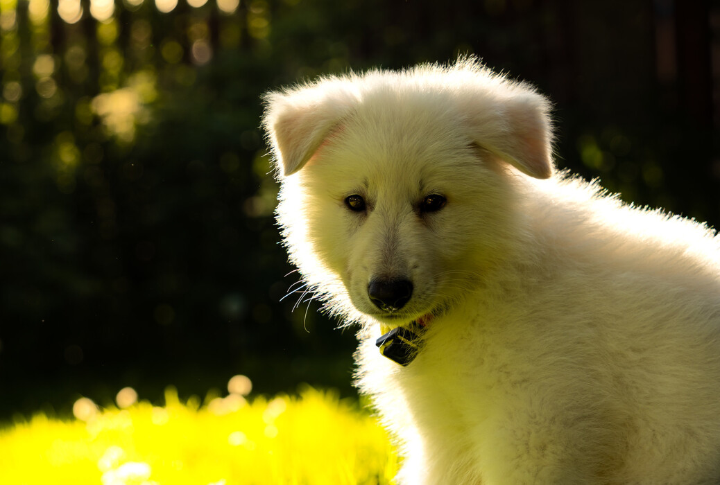 mt5e49cqxb______FWP2318