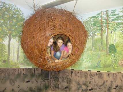 Biologická olympiáda kategorie B