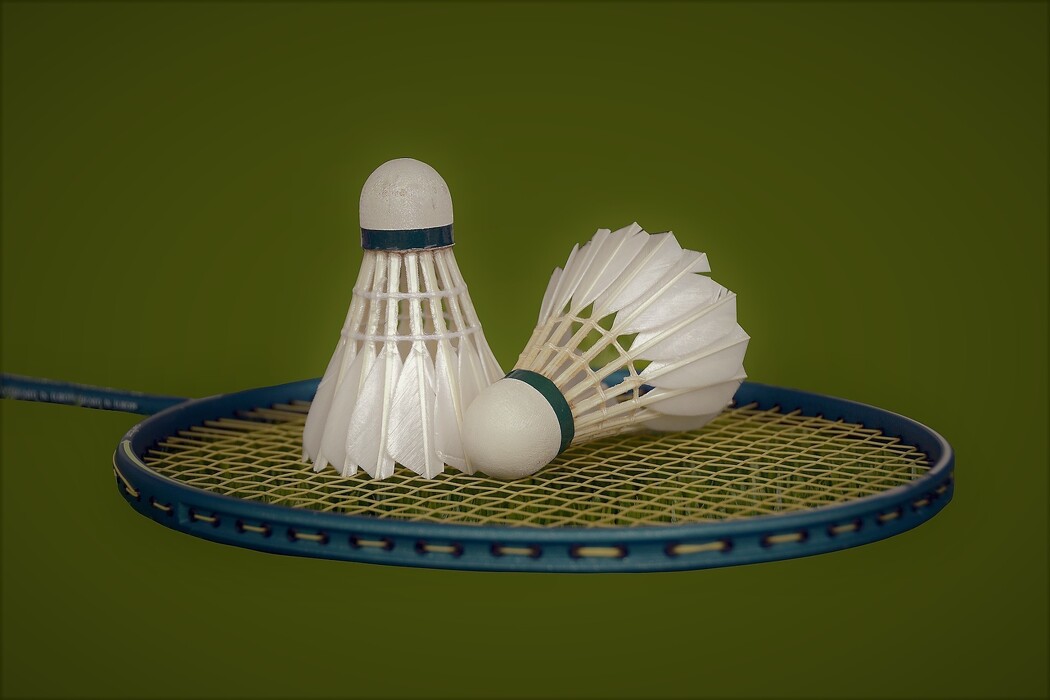 j3vs2c4t9k_____shuttlecock-2379720_1920