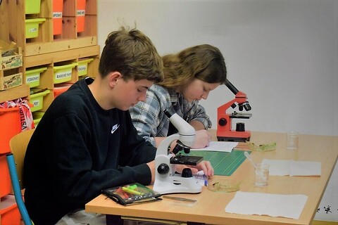 Biologická olympiáda: Opět výborné výsledky!