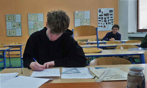 Dvě medailová umístění v krajském kole MO!