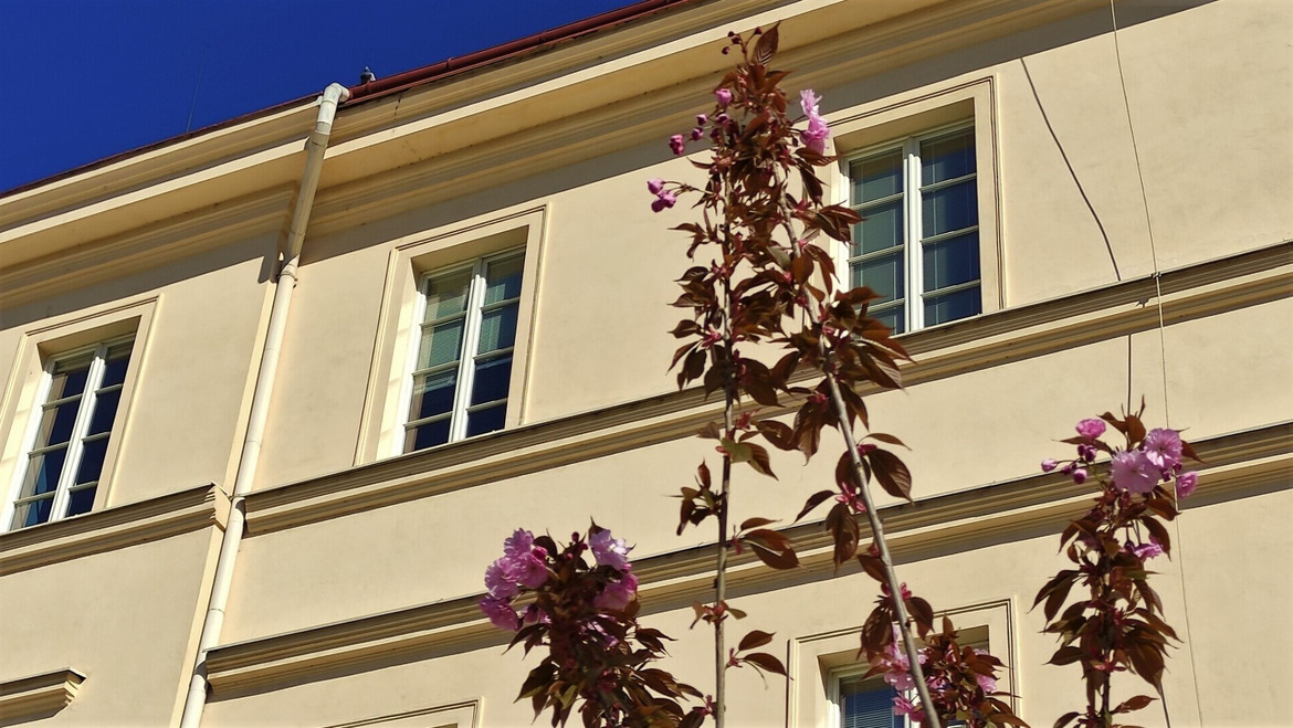 rbd2ok2q16_____343997679_783248643065092_9161167316409860098_n