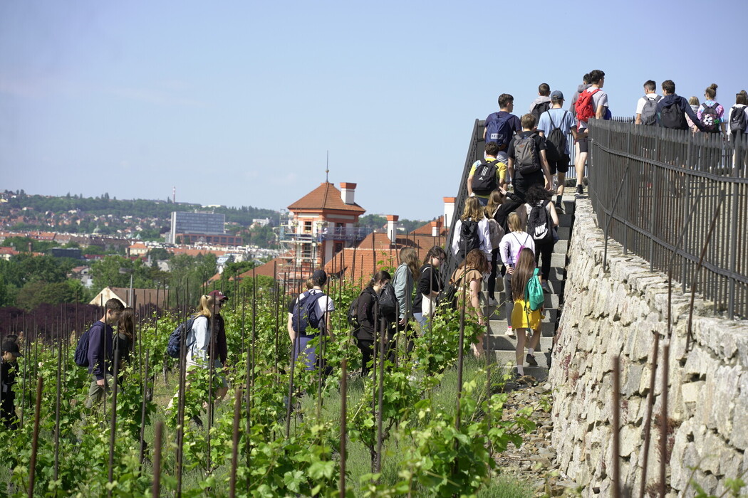 7q9zvbss6a______FWP3398