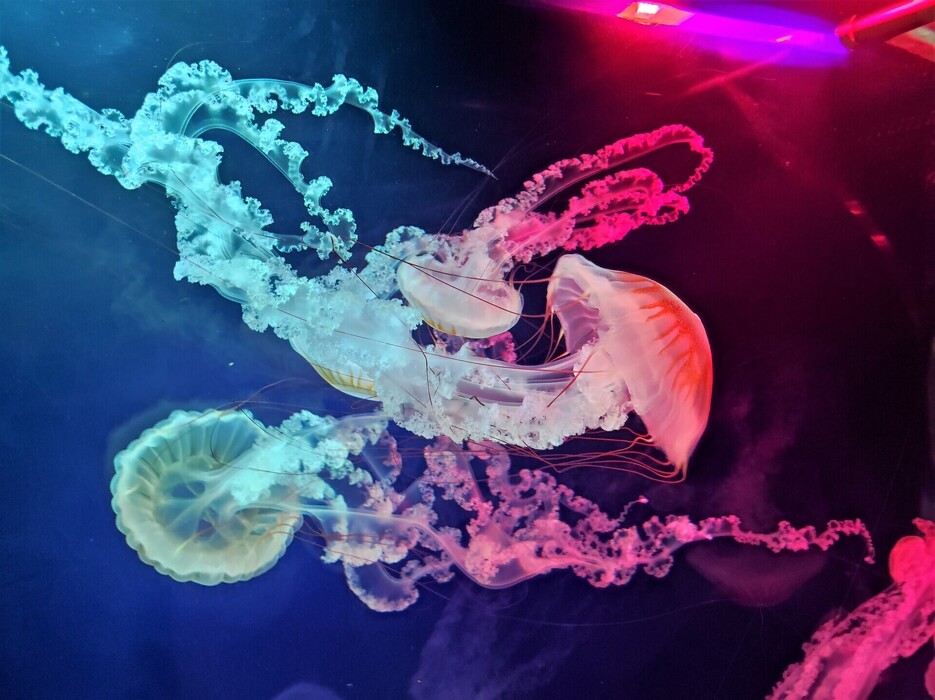 heona1joq0_____IMG_20230620_151257