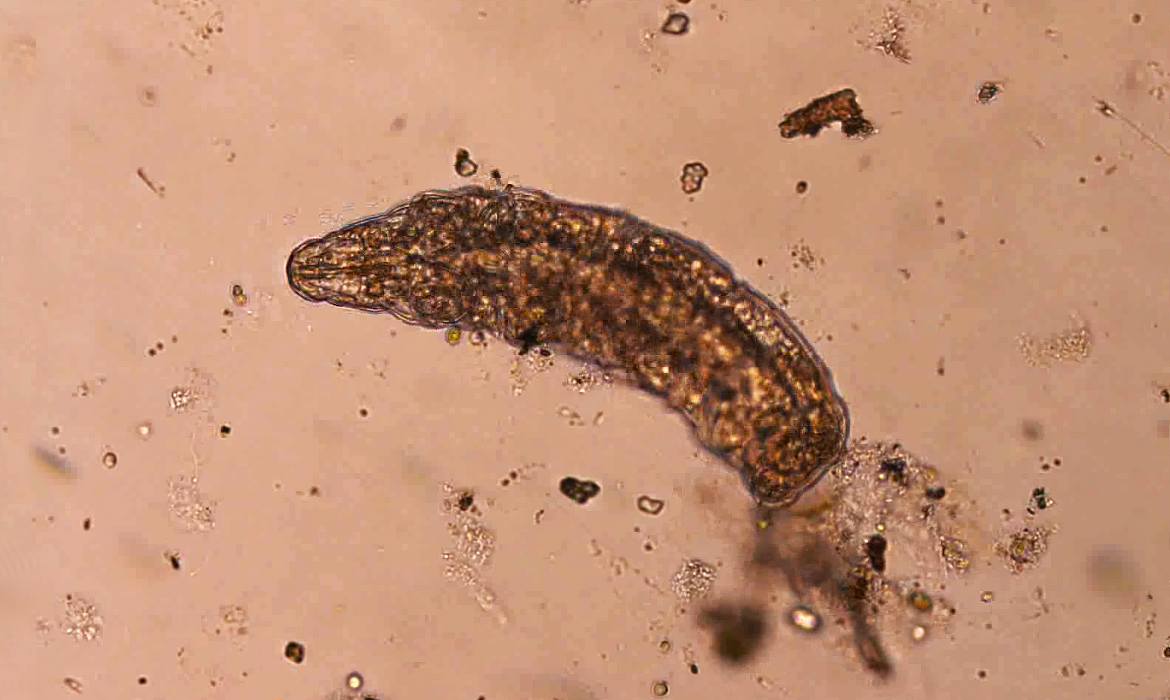 6kdk9tyqlo_____z_videa