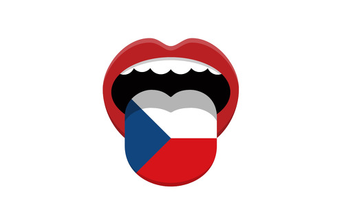 Výsledky školního kola OČJ