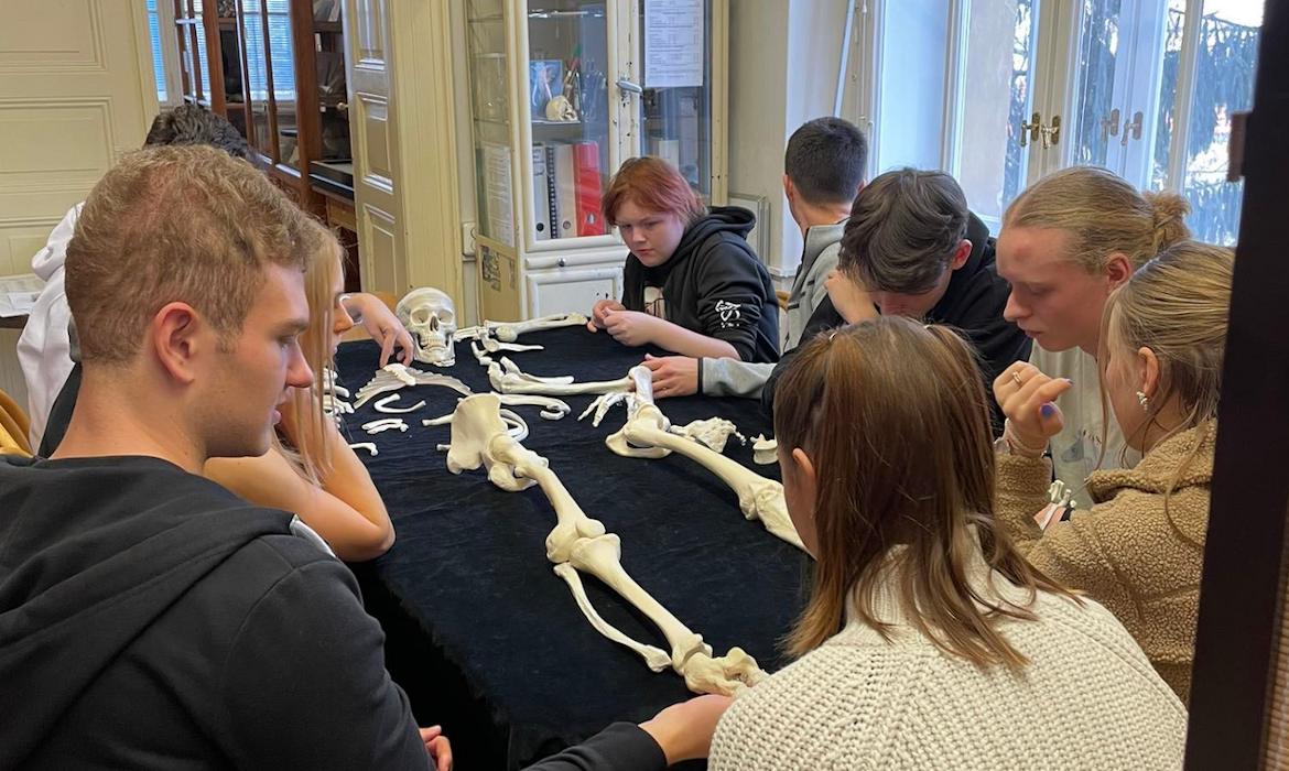 jomfytogj2_____kosti2