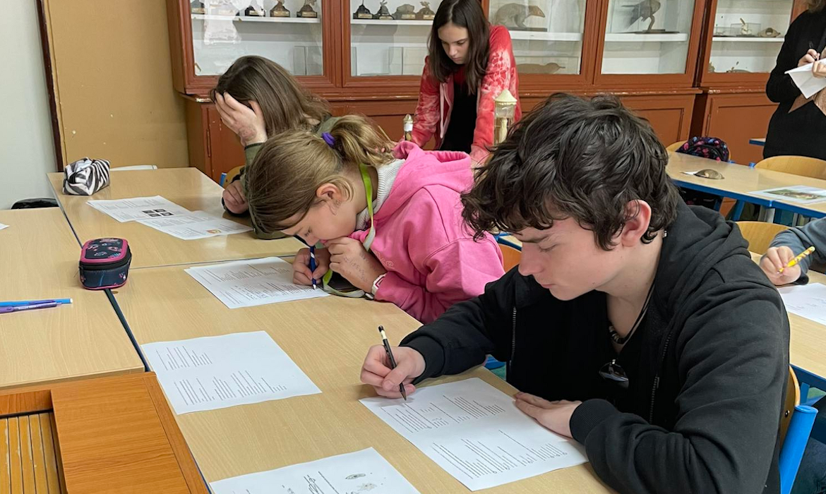 iijccjs28l_____26545566