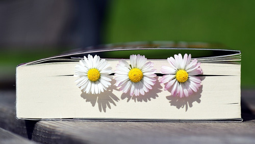 Výsledky okresního kola olympiády v češtině